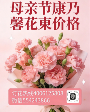 绍兴柯桥区花店母亲节康乃馨花束